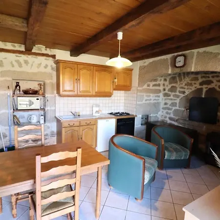 Holiday home De Caractere Avec Terrasse Et Jardin Dans La Chataigneraie Cantalienne - Fr-1-742-14